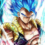 The gogeta group