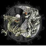 THE DRAGONS OF KINGDOM