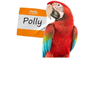 PARROT SQUAD!!!!