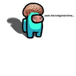 capture the brain