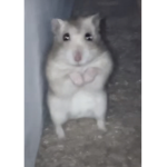 pablo:3