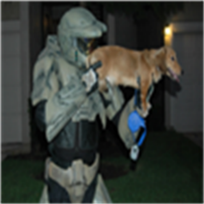 dog weapon Roblox decal