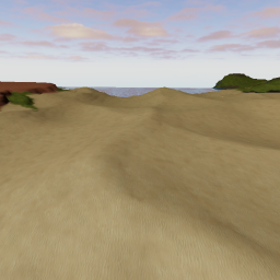 Survival combat(PLANES)