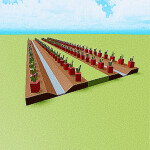 the radish experience