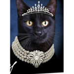 The official QueenOfCats Fan Club