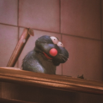 Costi’s Group Of Rats