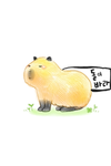 돌남 클럽