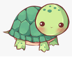 Team Turtles Forever!!