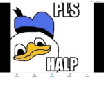Halpz