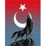 TC CİLER