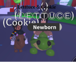 Lettuce & Cookie