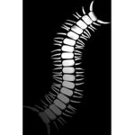 Worm [Kenka]