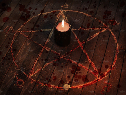 The Cult
