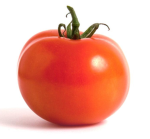 TOMATENNN