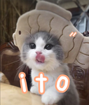 _ - Ito Avatar Ranking - _