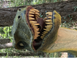 Tm dinos