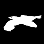 |RavenWorks|