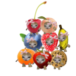 Grupa Sugii ~Kittens~