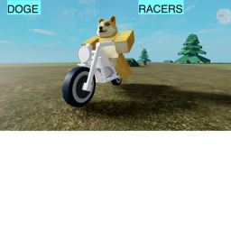 DOGE RACERS! (update 0)