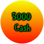 5000 Cash
