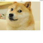 Doges will conquer