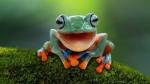 Daisy Frogs