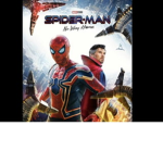The spider man no way home group