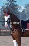 Star Strideway academy