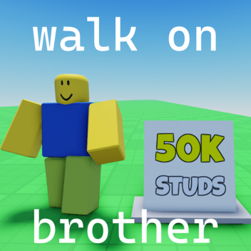 234234