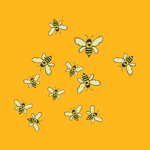 Buzzing Bumblebee Squad!