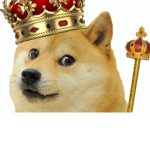 King of all doges