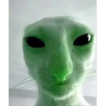 Aliens and goons