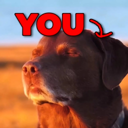 become a dog
