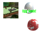 Egg Souls