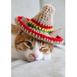 fans de ItsMahascats_official