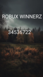 robux winnerz