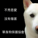 單身狗營地