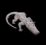 SilverCrocodile
