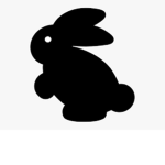 The almighty bunnies