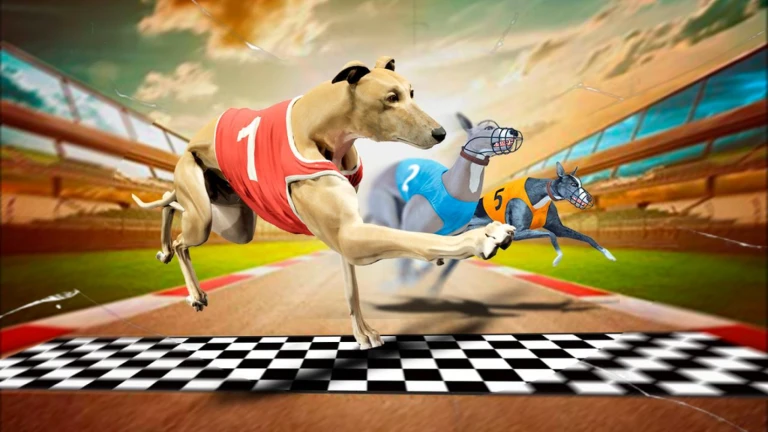 More About Pet Race, Image source: Roblox.com