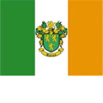 Military of Ireland