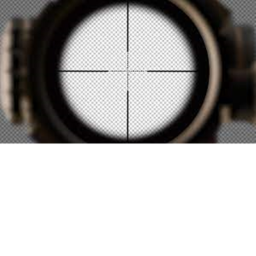 Shoot to be alive