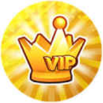 V.I.P MEMBERS ¹