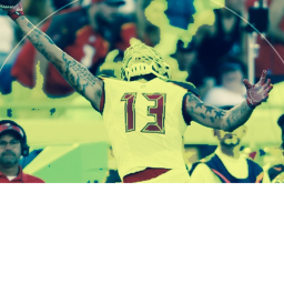 |-=NFL=-| Tampa buccaneers stadium