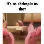 Shrimple Game's