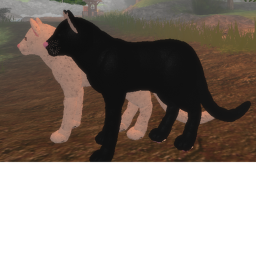 Cat Paradise