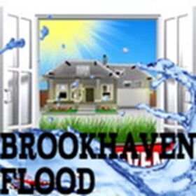 [PLANE!] Brookhaven Flood Survival