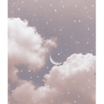 ·¢ℓσυ∂ѕ ѕqυα∂·