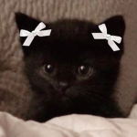 'delulu