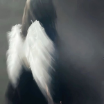 It angels